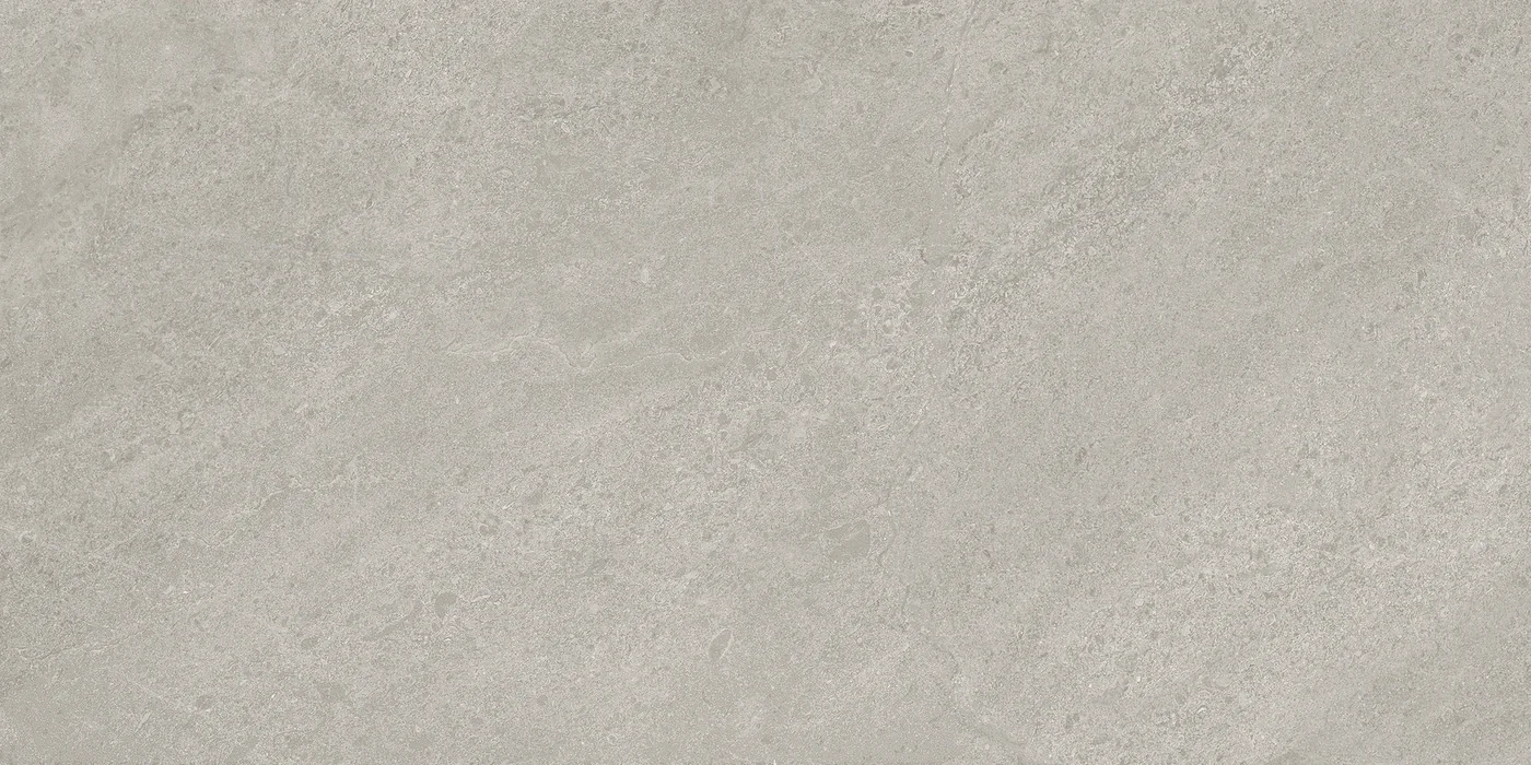 Ergon Matera Stone Neutra Dark Grey Silktech 60x120 см