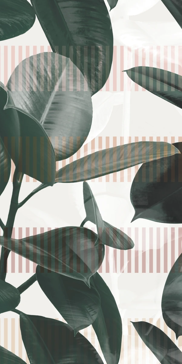 Керамогранит Paper41 Pro Olivia 50x100