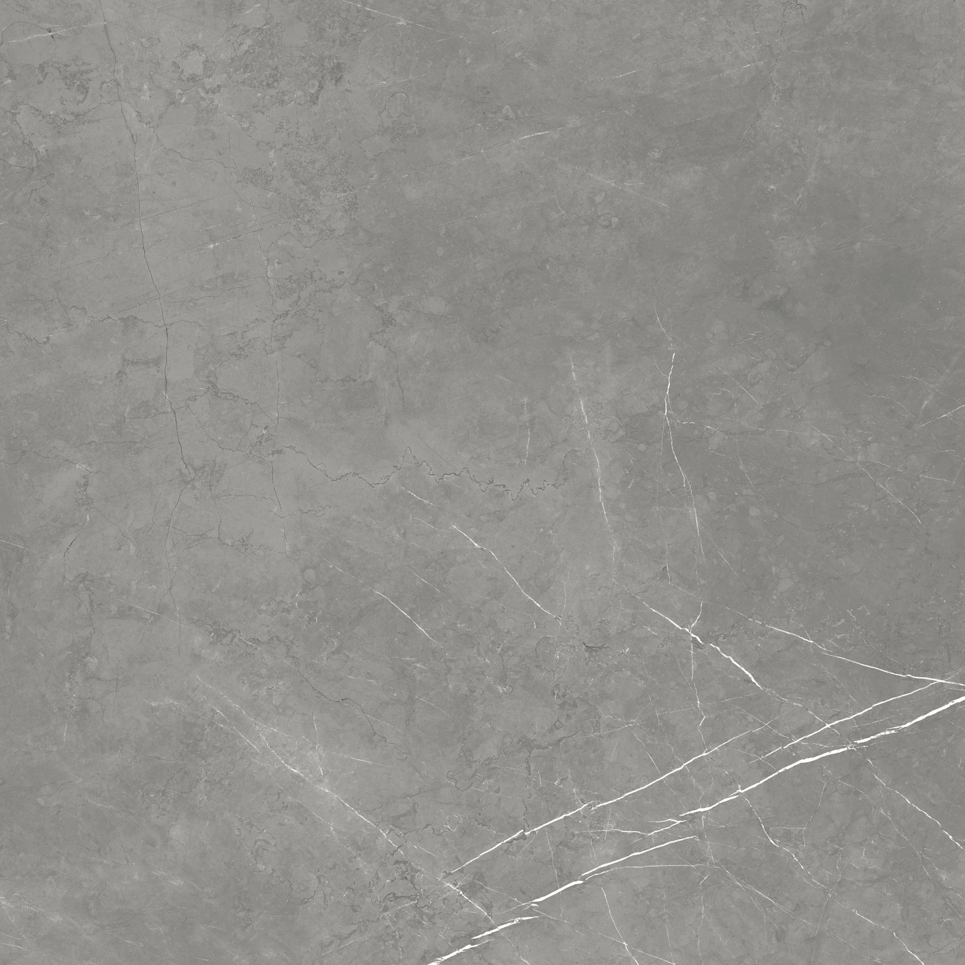 Керамогранит Forte dei Marmi Elegant Grey Матовая 80×80