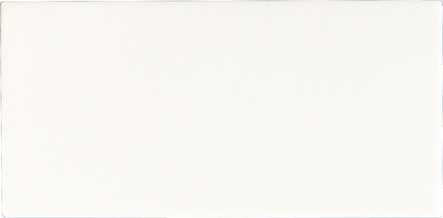 Grazia Nexus · 10X20 NEXUS BIANCO MATT