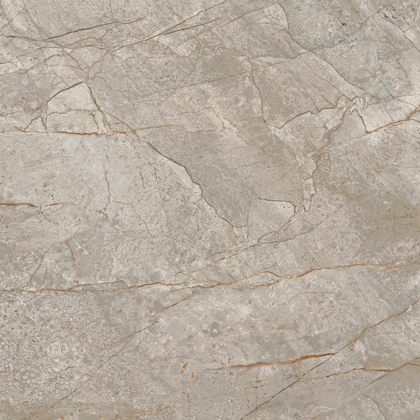 Керамогранит Empire Silver Root Polished 60×60