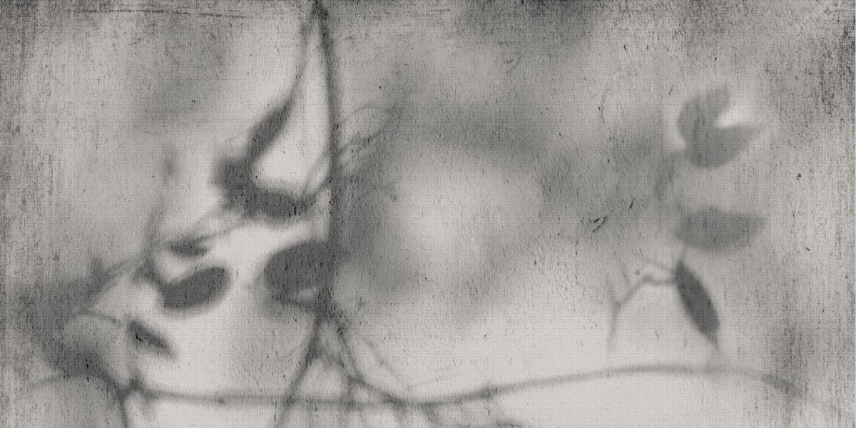 ART WALLS SHADOW NAT R60X120