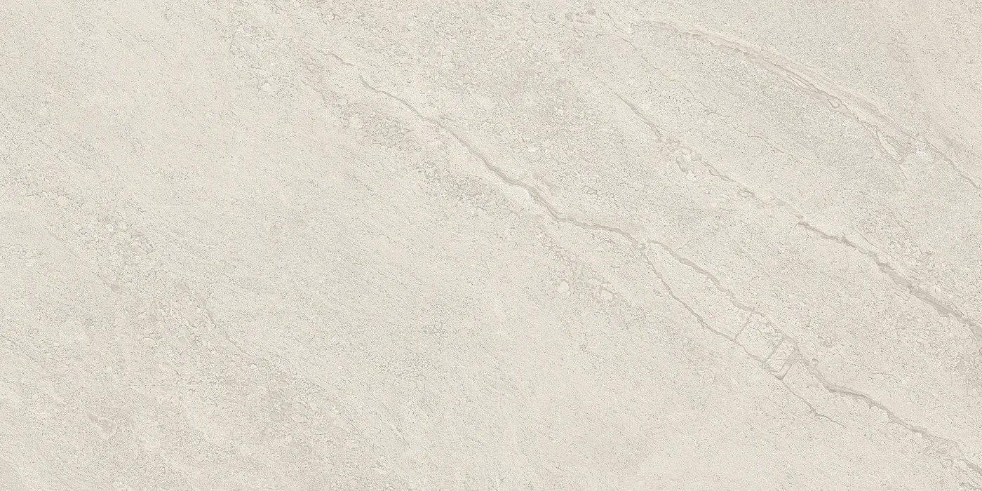 Provenza Pietra Di Orosei Grigio Conchiglia Silktech 60x120 см