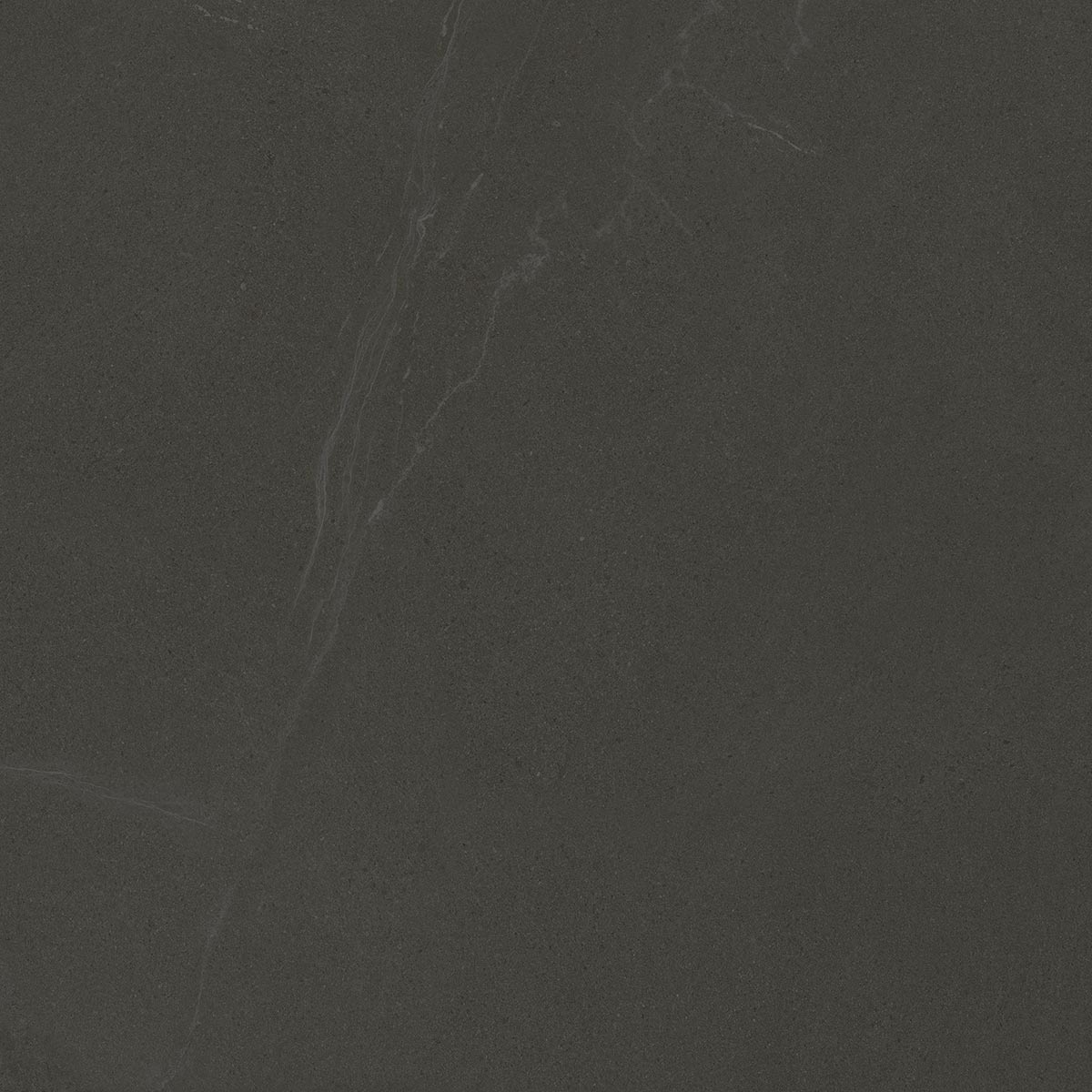 Керамогранит Seine-R Cemento Antideslizante 120x120