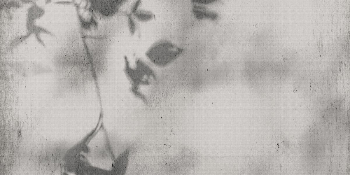 ART WALLS SHADOW NAT R60X120