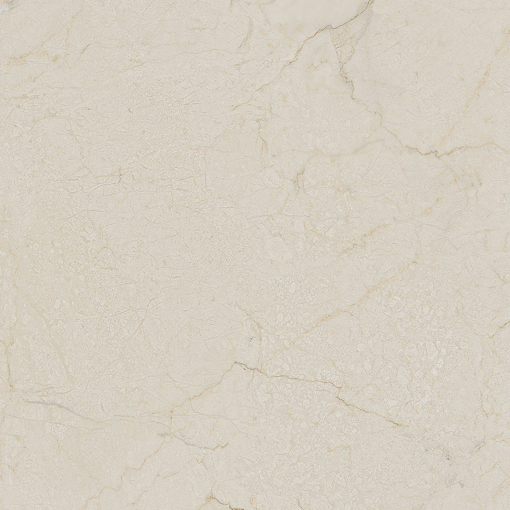 Black&Cream Cream-R Dune