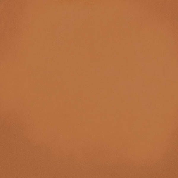 Напольная плитка Barnet Cuero 31.6x31.6 от Vives Ceramica (Испания)