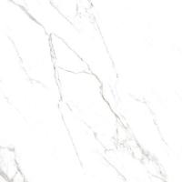 Керамогранит  CANOVA STATUARIO RET (J88490) 60x60 от Rondine Group RHS (Италия)