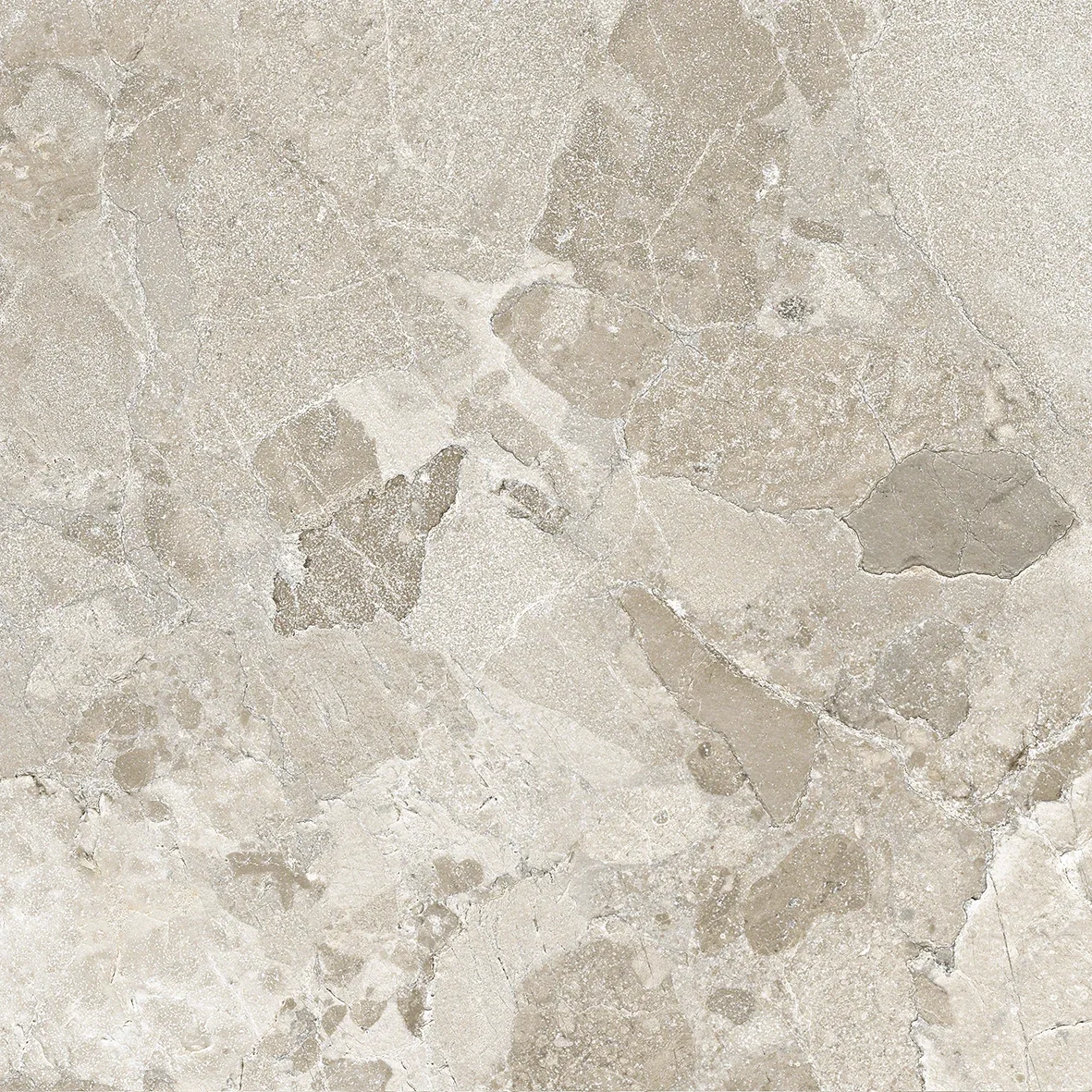 Ergon Matera Stone Sassi Greige Silktech 60x60 см