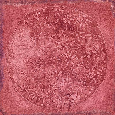 Керамическая плитка Carlo Granate-B 20x20
