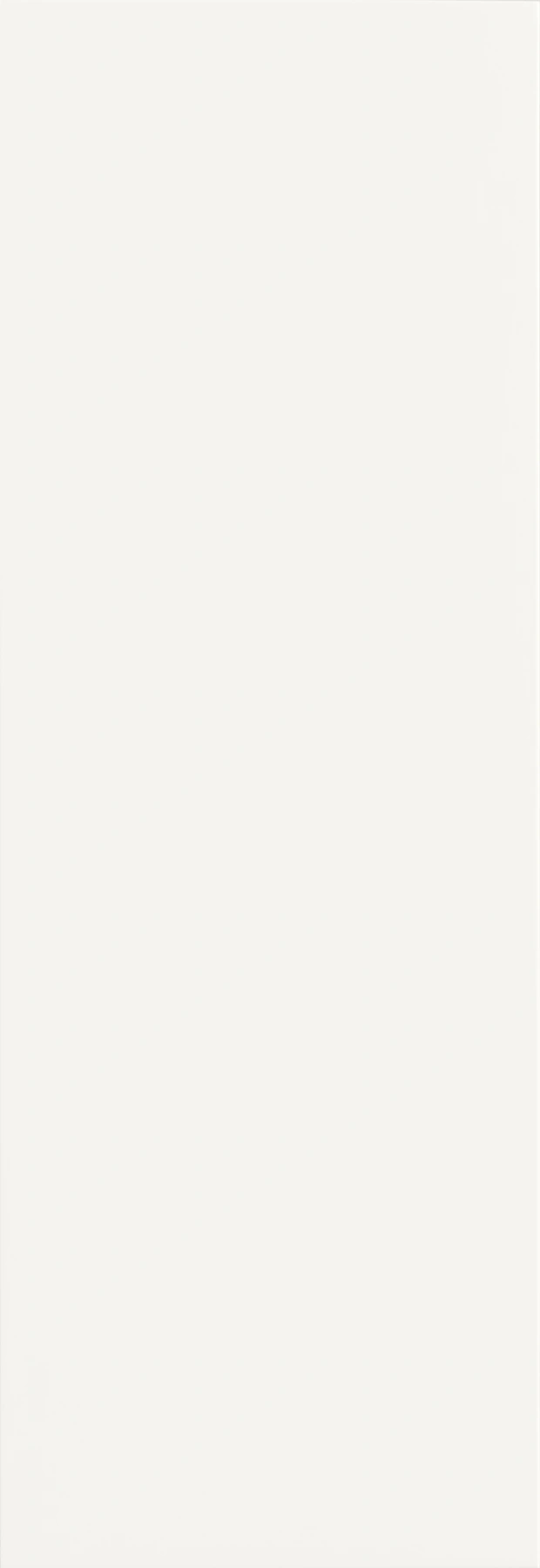 Grazia Elegance · ELG 35X102 LISCIA  SNOW MATT