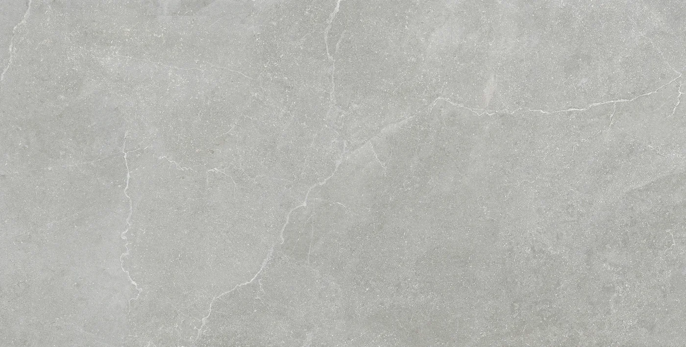 Provenza Eureka Grigio 60x120 см