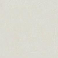 Керамогранит Rinascente Resin White (600010002400) 120x120 от Atlas Concorde (Россия)