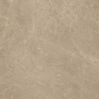 Керамогранит MARVEL Elegant Sable (AEOB) 60x60 от Atlas Concorde (Италия)