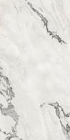 Керамогранит FORTE DEI MARMI QUARK OYSTER WHITE Rett Cer (610015000698) 60x120 от Atlas Concorde (Россия)