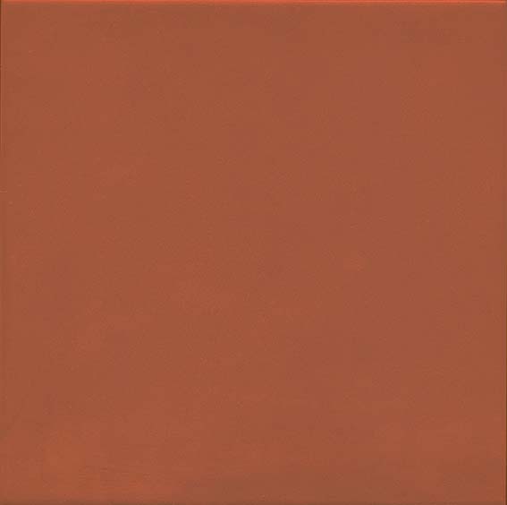 Керамическая плитка 1900 Rojizo 20x20