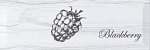 Декор Decor Fruit Laguna Blackberry 10x30 от Monopole (Испания)