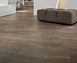 SELECTION OAK-6