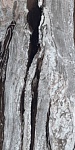 Керамогранит COPACABANA EMPEROR RETTIFICATO (81090) 80x160 от AVA Ceramica (Италия)