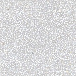 Керамогранит Portofino-SPR Humo 59 59.3x59.3 от Vives Ceramica (Испания)