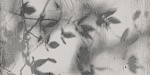 ART WALLS SHADOW NAT R60X120-4