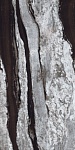 Керамогранит COPACABANA EMPEROR NAT. RET. (81089) 80x160x6 от AVA Ceramica (Италия)