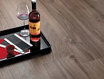 Керамогранит Etic Rovere (AJ8D) 22.5x90 от Atlas Concorde (Италия)-7