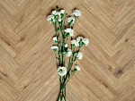 Керамогранит Woodglam Pav. Grigio 10x70 от Ragno (Италия)-9