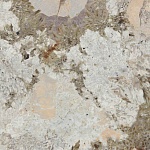 Керамогранит SENSI NUANCE PATAGONIA WOW NAT R (PF60014978) 120x120 от ABK Ceramiche (Италия)