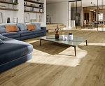 HEARTWOOD-9