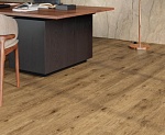 WINE OAK-9