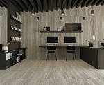 ARTE-4