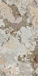 Керамогранит SENSI NUANCE PATAGONIA WOW NAT R (PF60014983) 60x120 от ABK Ceramiche (Италия)