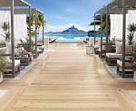 NOBU ARCE-6