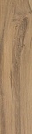 Керамогранит Etic Rovere Venice (AV4M) 22.5x90 от Atlas Concorde (Италия)