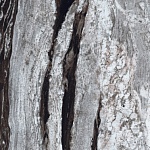 Керамогранит COPACABANA EMPEROR LAPP/RETT 81059 120x120 от AVA Ceramica (Италия)