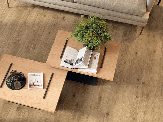 Wine Oak-6
