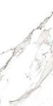 Керамогранит MARMOKER STATUARIO GRIGIO LUCIDO 9MM (2720217) 60x120 от Casalgrande Padana (Италия)