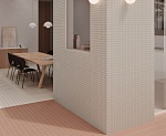 RASTER-4