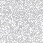 Керамогранит Portofino-SPR Humo 59 59.3x59.3 от Vives Ceramica (Испания)-2