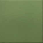 Керамогранит RIVOLI GREEN 30716 20x20  Equipe Ceramicas