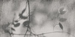 ART WALLS SHADOW NAT R60X120-3