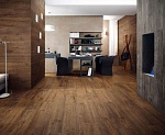 Керамогранит Axi Grey Timber (AS3E) 22.5x90 от Atlas Concorde (Италия)-6
