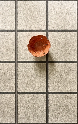 Tapì-6