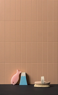 Biscuit-28