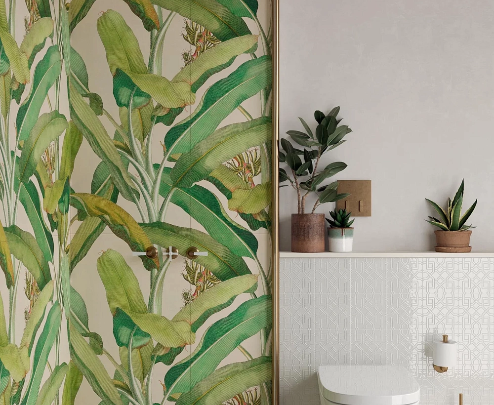 Paper41 Pro