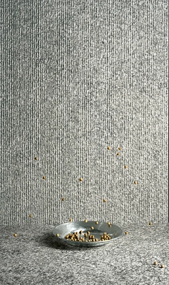 Brutus-6