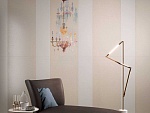 CANVAS-6