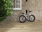 WOODMANIA-7