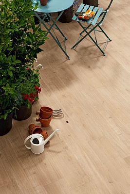 Primewood-24